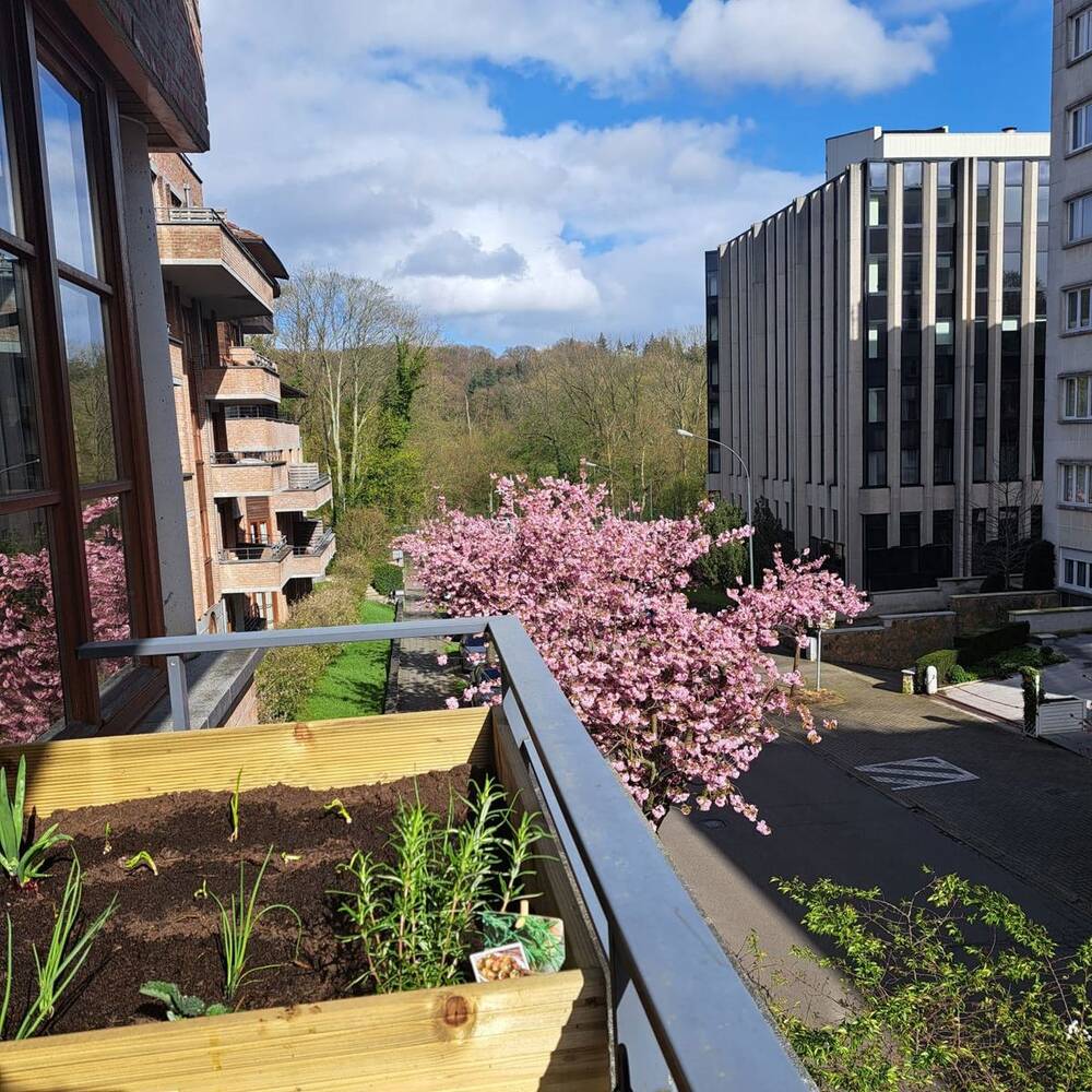 Appartement à louer à Auderghem 1160 1350.00€ 2 chambres 83.00m² - annonce 560362