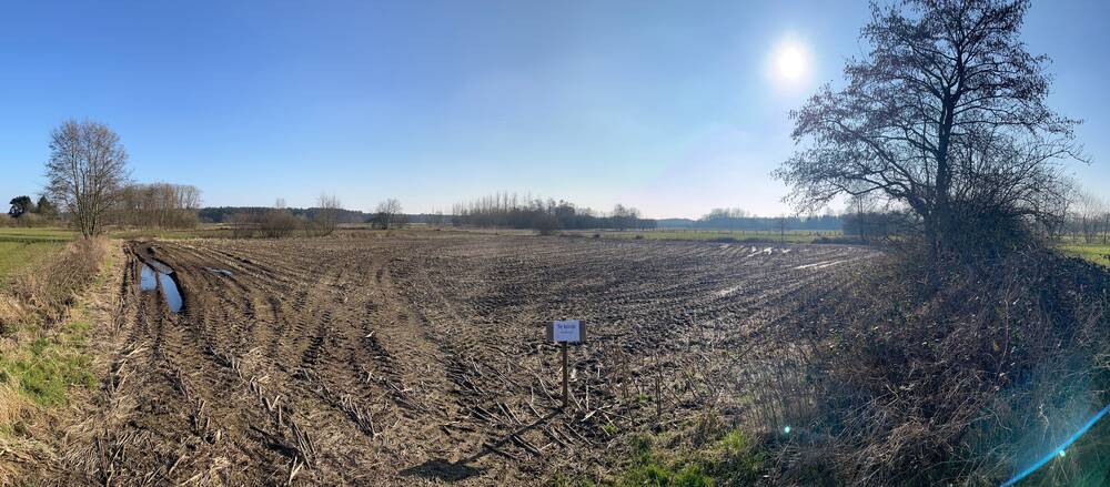 Terrain non bâtissable à vendre à Vorselaar 2290 90000.00€  chambres m² - annonce 561324