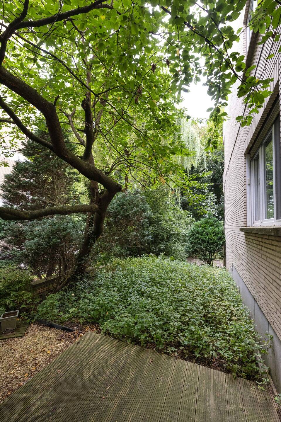 Benedenverdieping te koop in Schaarbeek 1030 399000.00€ 3 slaapkamers 117.00m² - Zoekertje 563996