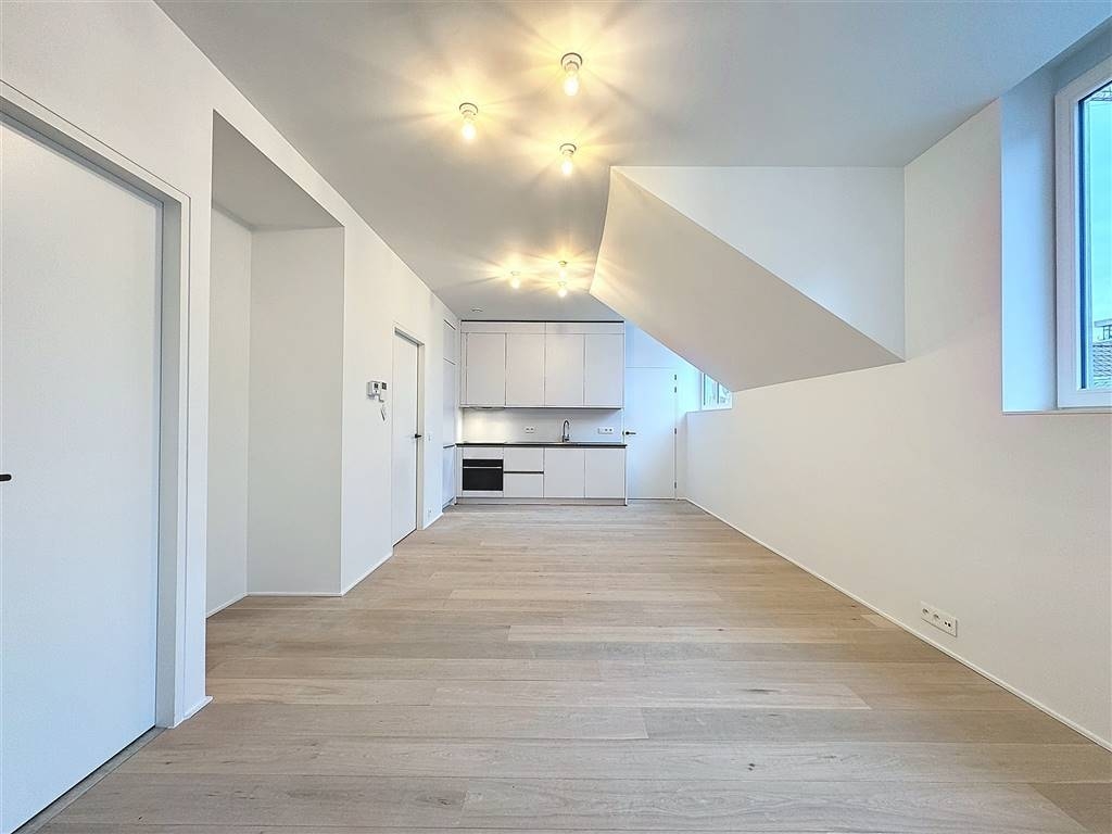 Studio à louer à Bruxelles 1000 1000.00€ chambres 50.00m² - annonce 564862