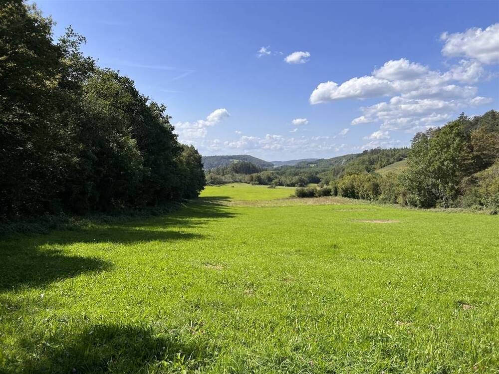 Terrain non bâtissable à vendre à Ave-et-Auffe 5580 40000.00€  chambres m² - annonce 576203