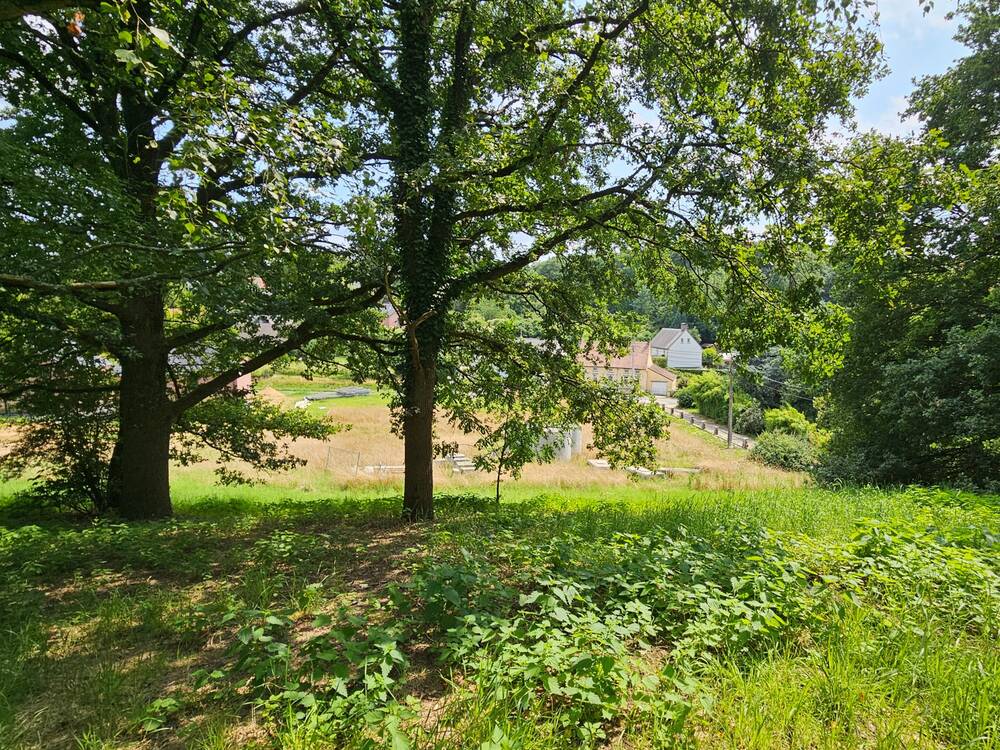Terrain non bâtissable à vendre à Court-Saint-Etienne 1490 30000.00€  chambres m² - annonce 577107