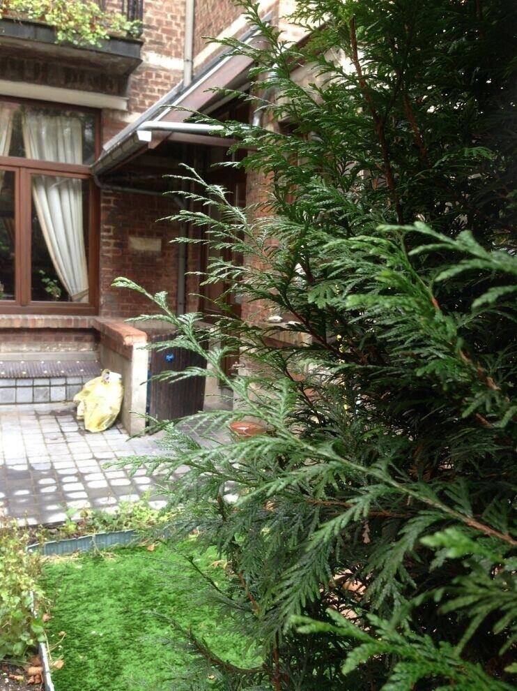 Maison à vendre à Anderlecht 1070 465000.00€ 3 chambres m² - annonce 577060