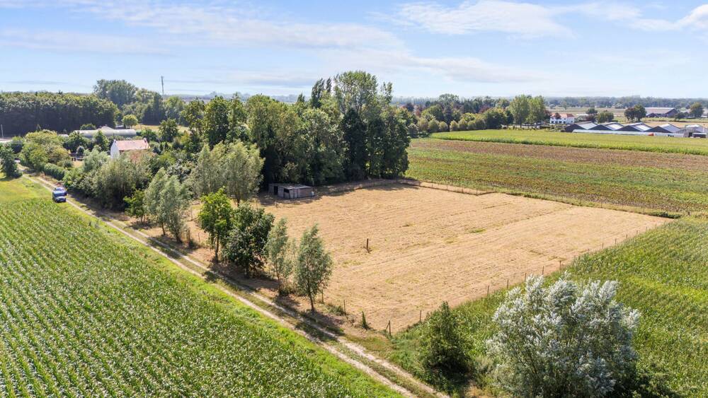 Terrain non bâtissable à vendre à Maldegem 9990 59000.00€  chambres m² - annonce 585645