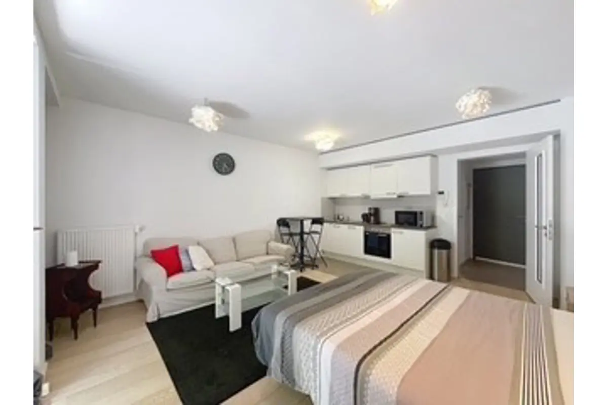 Studio à louer à Bruxelles 1000 870.00€ 0 chambres 32.00m² - annonce 600004