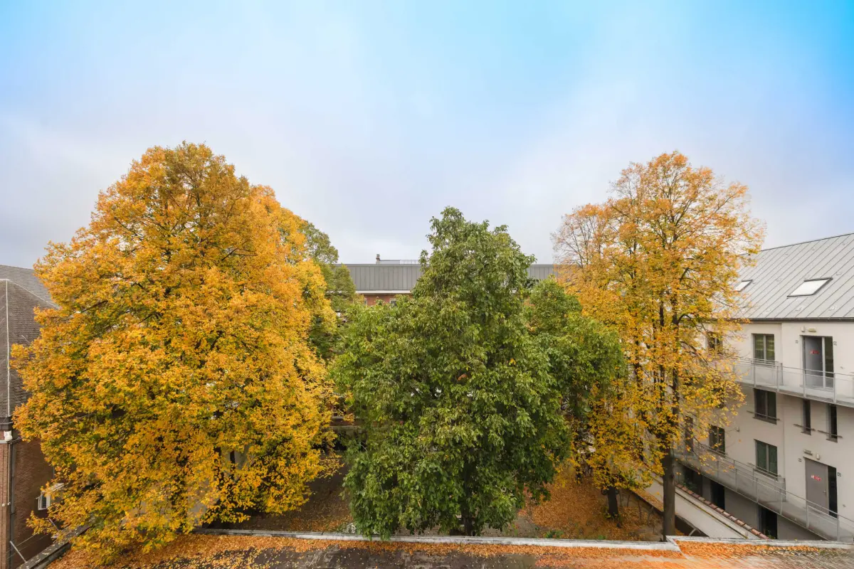 Appartement à vendre à Etterbeek 1040 189000.00€ 1 chambres 70.00m² - annonce 608274