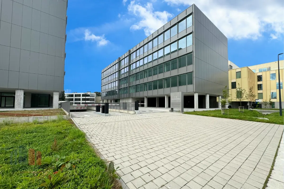 Commerce à louer à Sint-Denijs-Westrem 9051 12500.00€  chambres 1000.00m² - annonce 615167