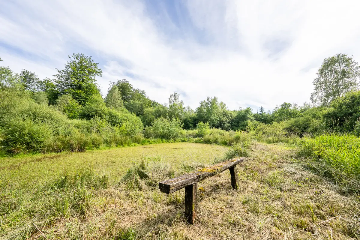 Terrain à vendre à Carlsbourg 6850 119000.00€  chambres m² - annonce 615209