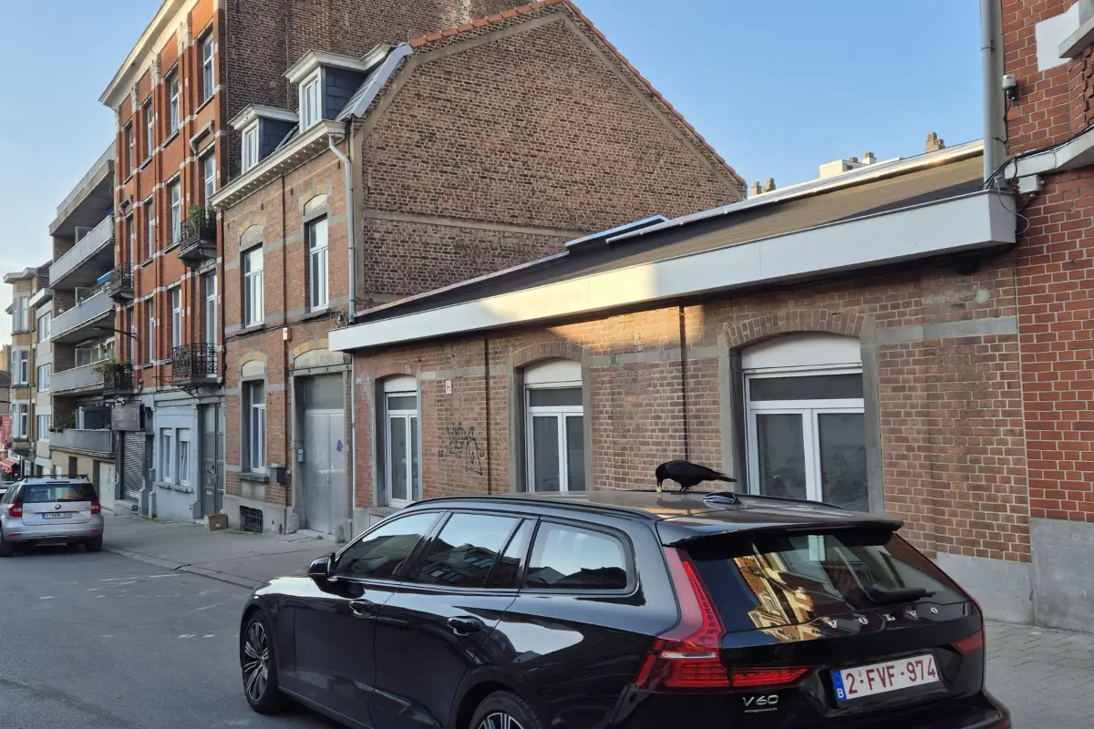 Handelszaak te  koop in Vorst 1190 950000.00€  slaapkamers 450.00m² - Zoekertje 616263