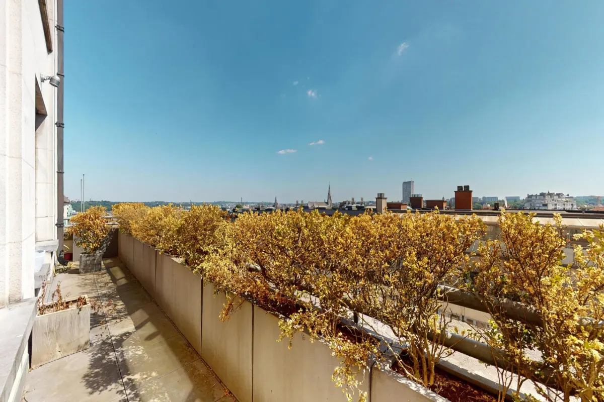 Duplex à  à Bruxelles 1000 579000.00€ 3 chambres 253.00m² - annonce 616530