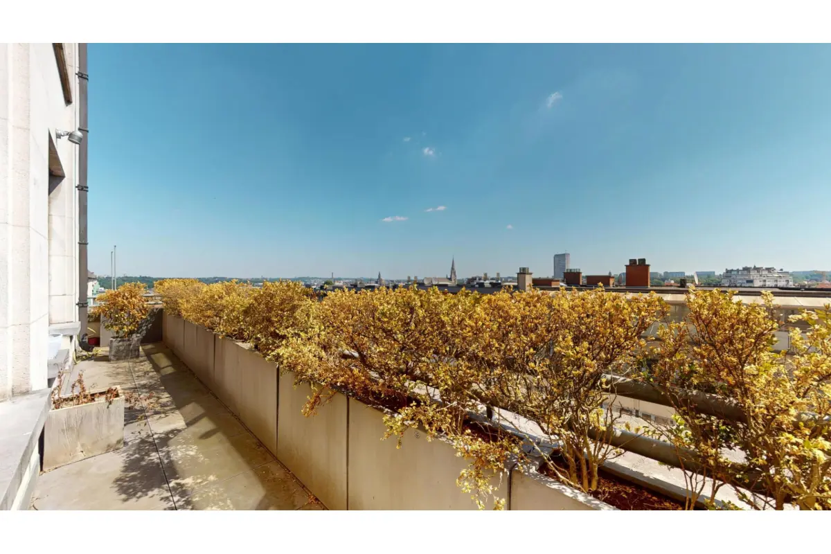 Duplex à vendre à Bruxelles 1000 579000.00€ 3 chambres 253.00m² - annonce 616530