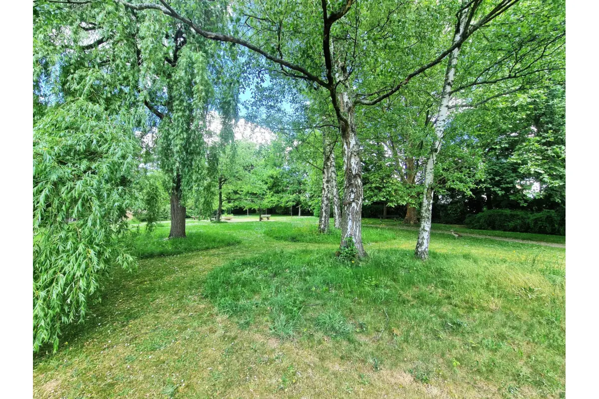 Handelszaak te  koop in Watermaal-Bosvoorde 1170 225000.00€  slaapkamers 70.00m² - Zoekertje 616935