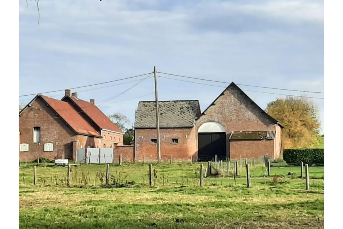 Ferme à vendre à Frasnes-lez-Buissenal 7911 380000.00€ 7 chambres m² - annonce 622846