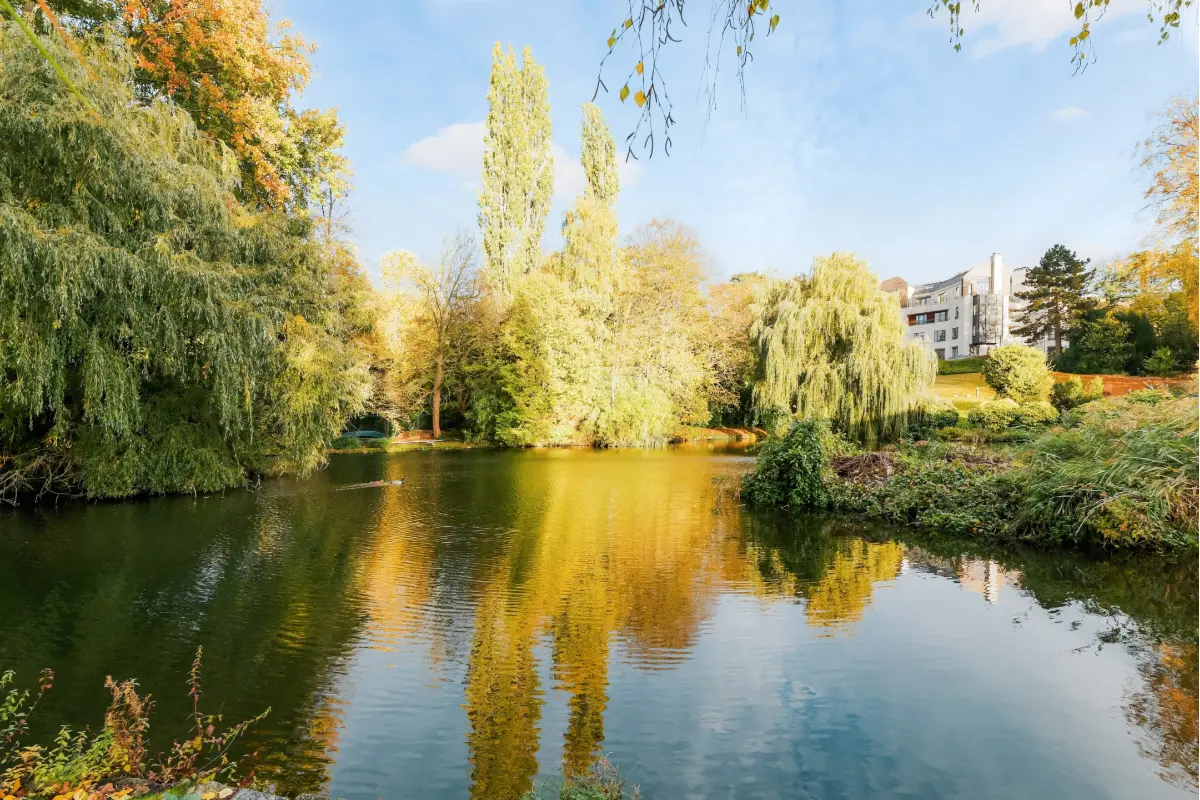 Maison à vendre à Woluwe-Saint-Pierre 1150 1195000.00€ 3 chambres m² - annonce 622331