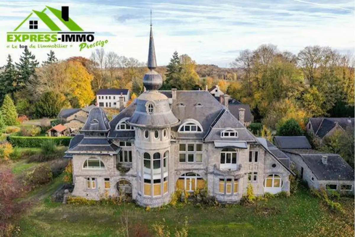 Château à vendre à Rhisnes 5080 1499000.00€ 41 chambres m² - annonce 622417
