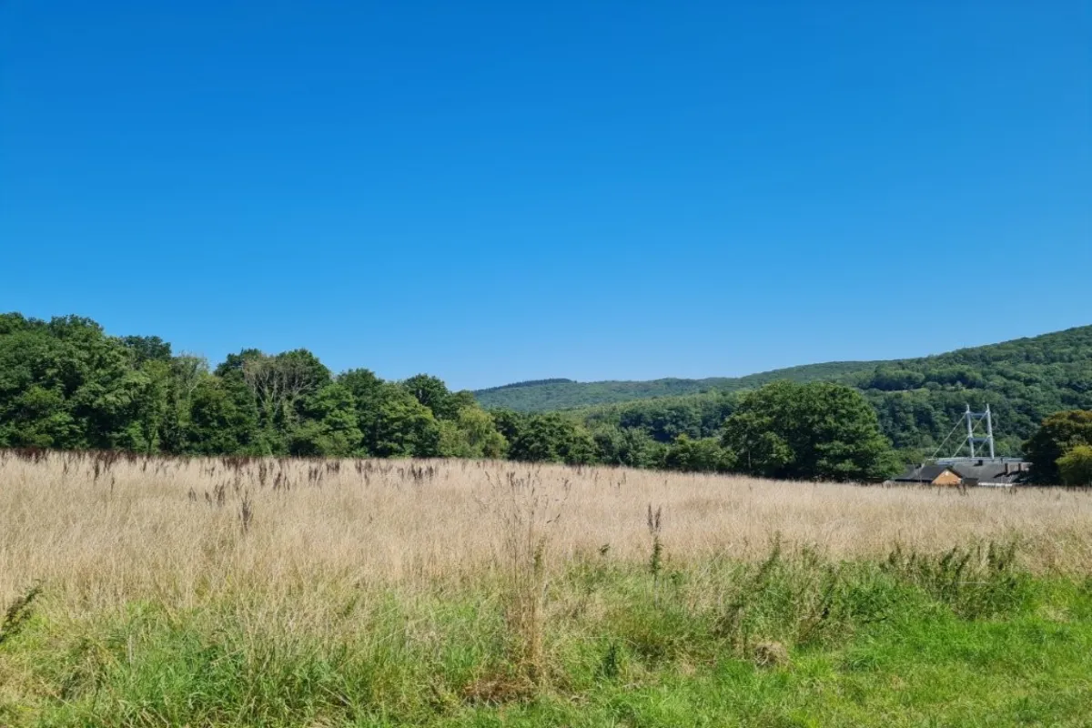 Terrain à vendre à Agimont 5544 264240.00€  chambres m² - annonce 631839