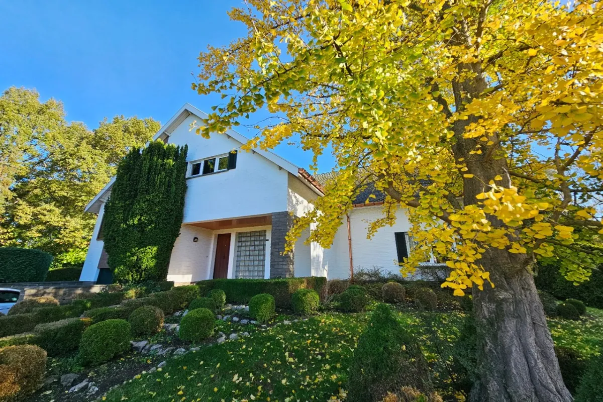 Villa à vendre à Haacht 3150 600000.00€ 4 chambres 239.00m² - annonce 632227