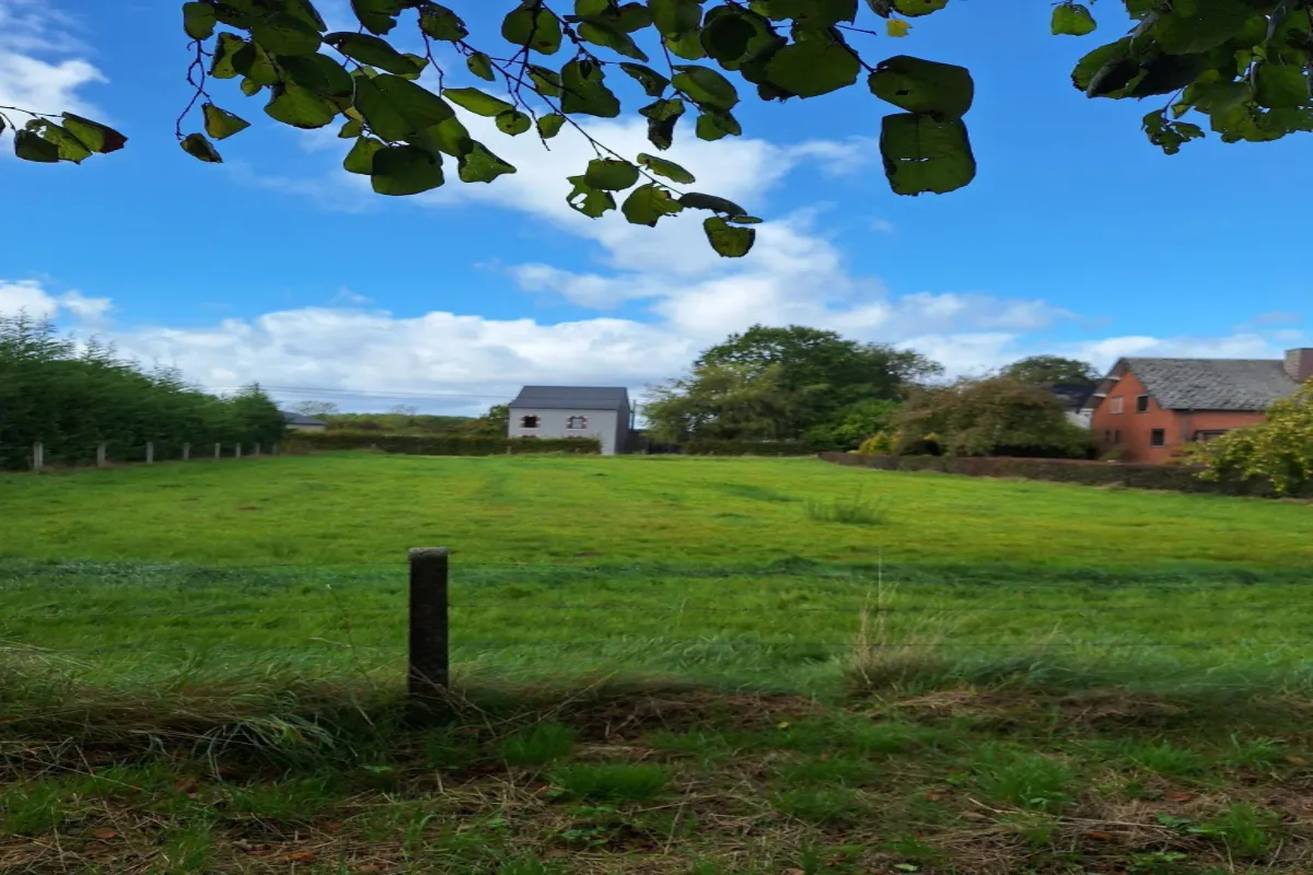 Terrain à vendre à Cul-des-Sarts 5660 50000.00€  chambres m² - annonce 632249