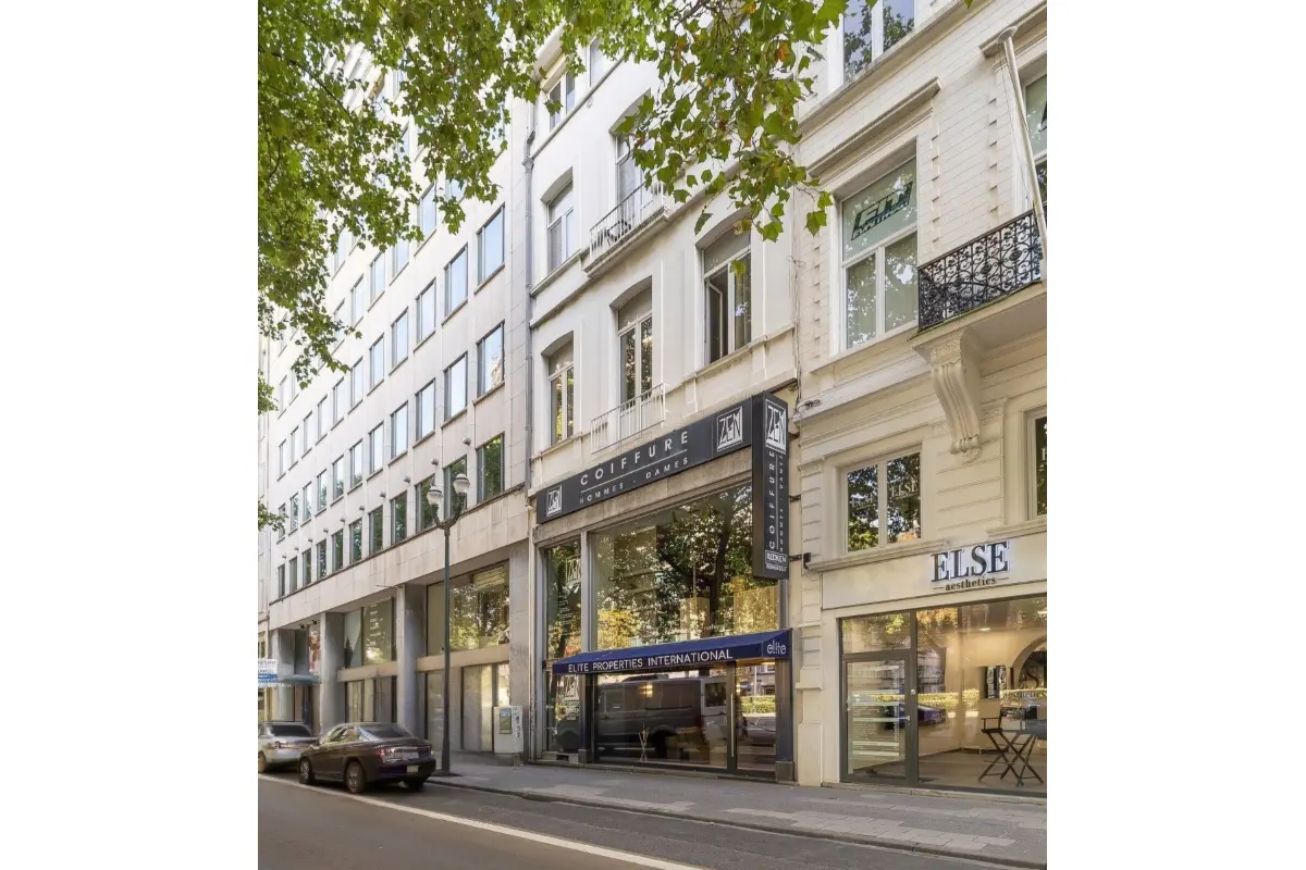 Immeuble de rapport - Immeuble à appartement à vendre à Ixelles 1050 2000000.00€ 5 chambres 532.00m² - annonce 633847