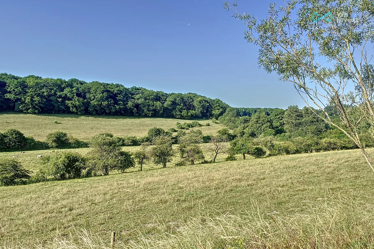 Terrain à vendre à Chimay 6460 75000.00€  chambres m² - annonce 634636