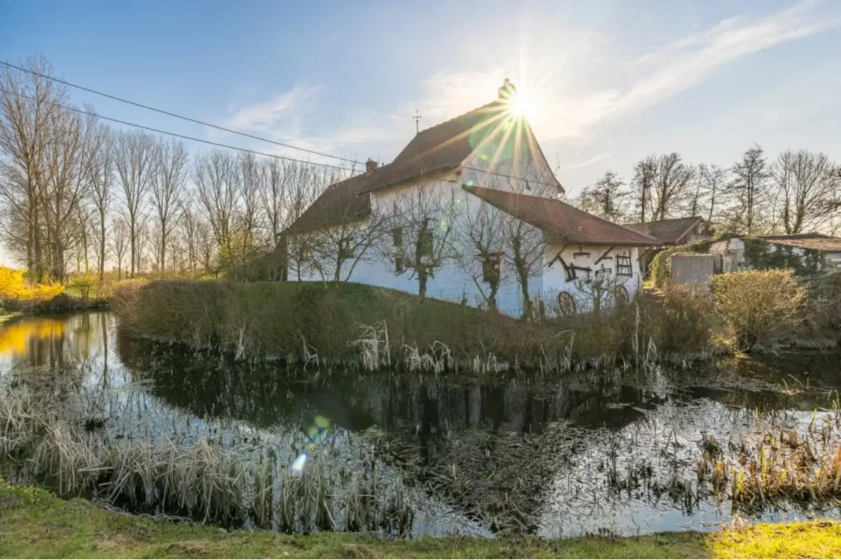 Ferme à vendre à Avelgem 8580 450000.00€ 4 chambres m² - annonce 634158