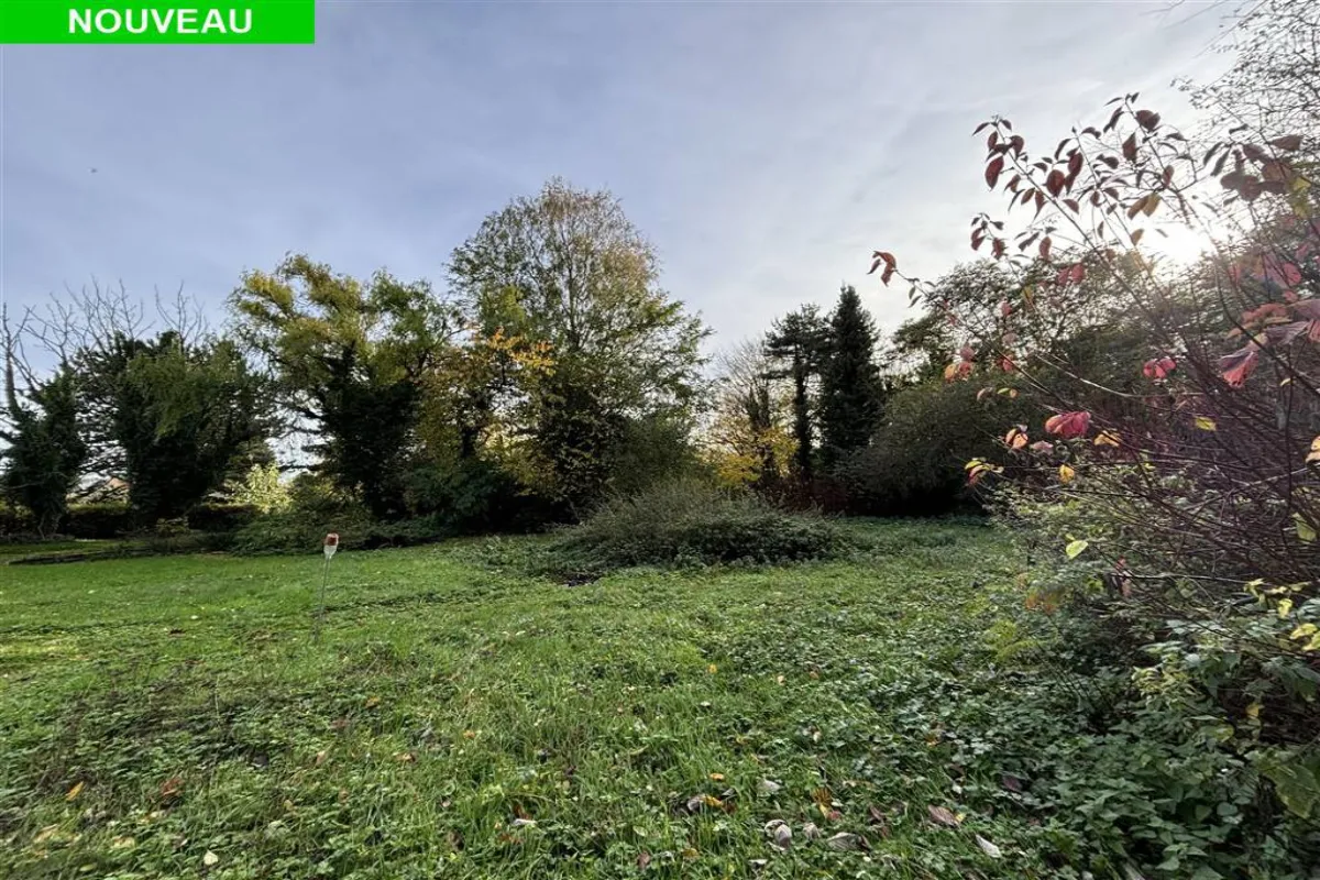 Terrain à vendre à Walhain-Saint-Paul 1457 220000.00€  chambres m² - annonce 634789