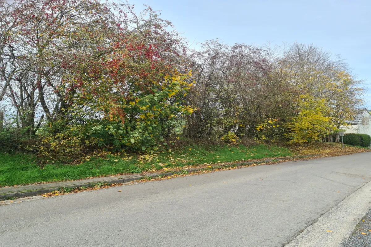 Grond te  koop in Sainte-Ode 6680 75000.00€  slaapkamers m² - Zoekertje 635307