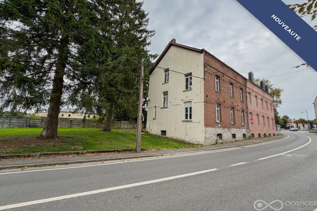Maison à vendre à Momignies 6590 100000.00€ 4 chambres 158.00m² - annonce 634931