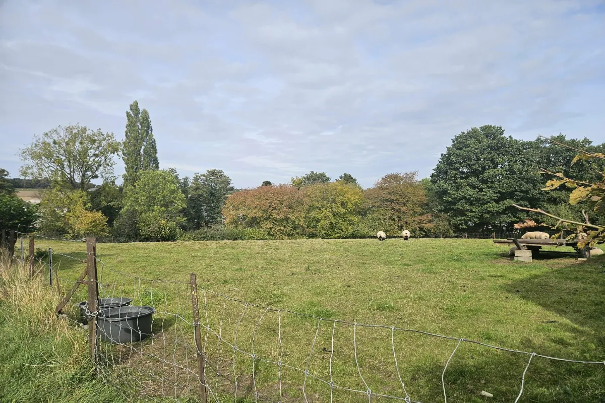 Grond te  koop in Joncret 6280 112795.00€  slaapkamers m² - Zoekertje 636377