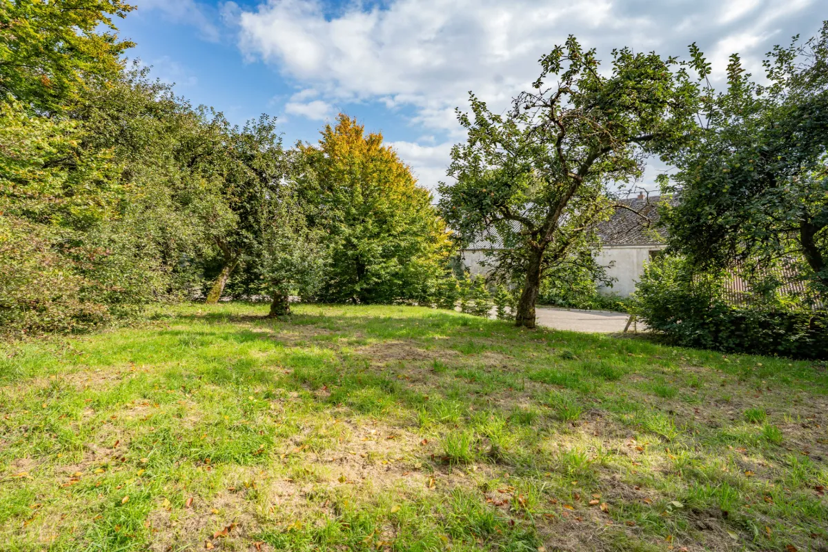 Grond te  koop in Hompré 6640 95000.00€  slaapkamers m² - Zoekertje 636600