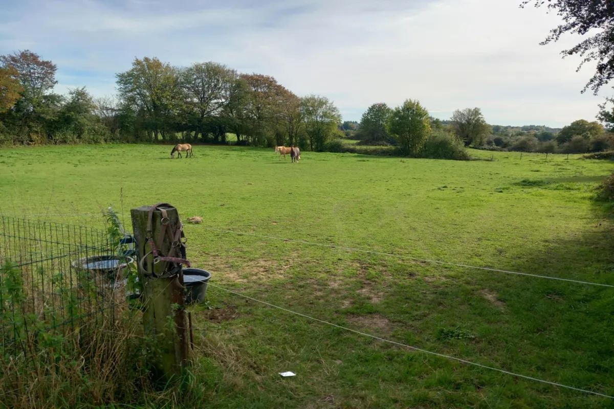 Grond te  koop in Momignies 6590 10035.00€  slaapkamers m² - Zoekertje 636266