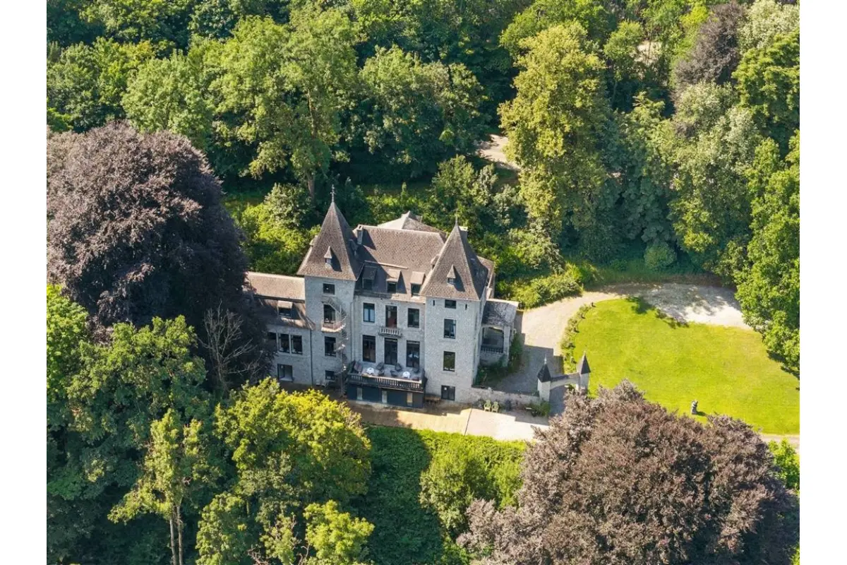 Château à vendre à Dinant 5500 1650000.00€ 12 chambres 868.00m² - annonce 637494