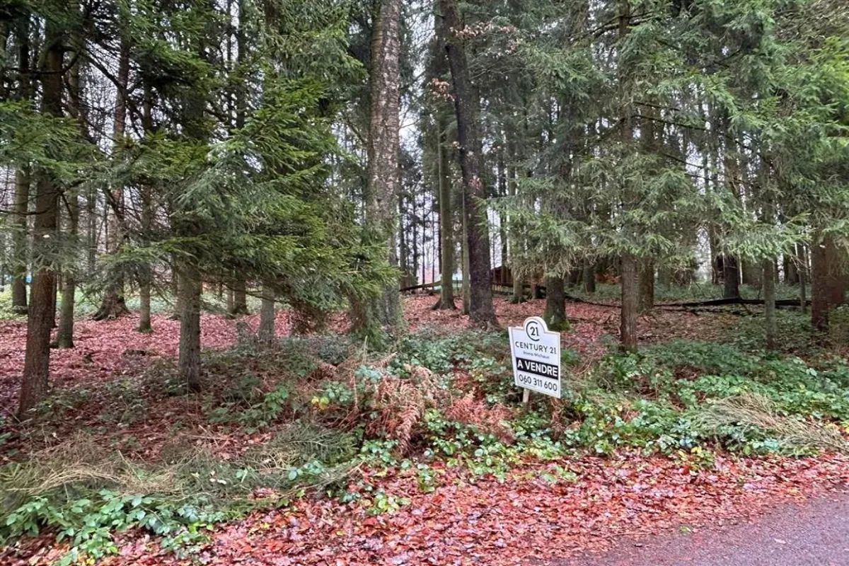 Grond te  koop in Brûly-de-Pesche 5660 30000.00€  slaapkamers m² - Zoekertje 638256