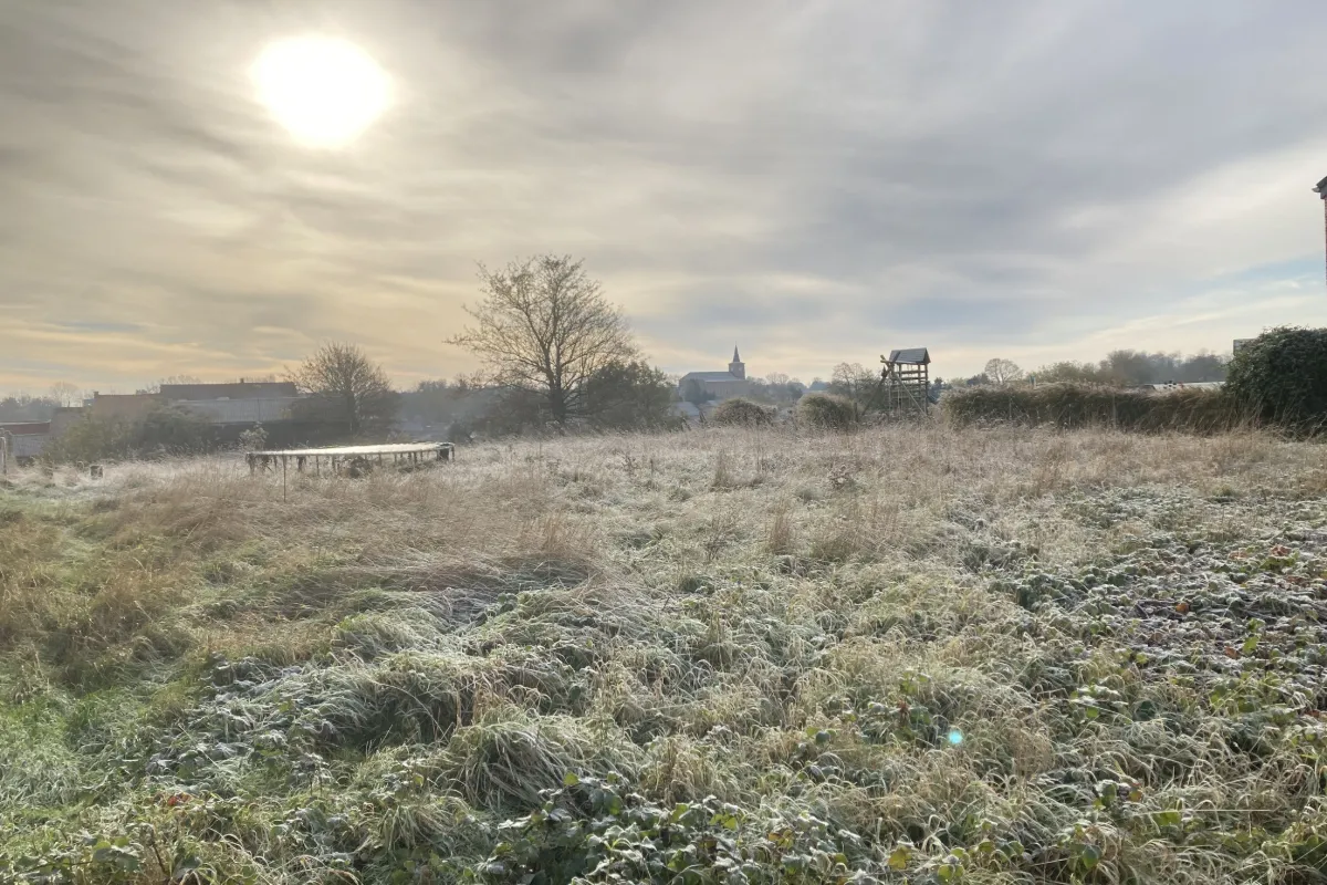 Grond te  koop in Laatwijk 1370 129000.00€  slaapkamers m² - Zoekertje 639361