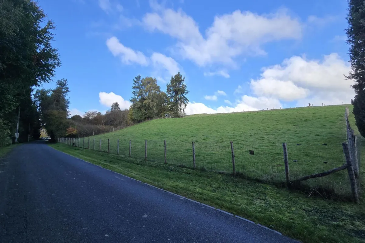 Grond te  koop in Tenneville 6970 55000.00€  slaapkamers m² - Zoekertje 639356