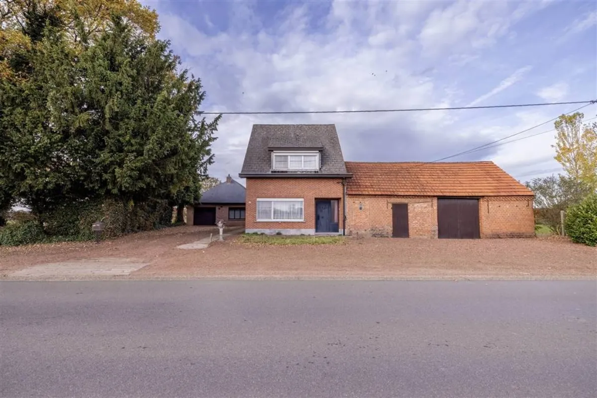 Maison à vendre à Herenthout 2270 449000.00€ 3 chambres 251.00m² - annonce 639208