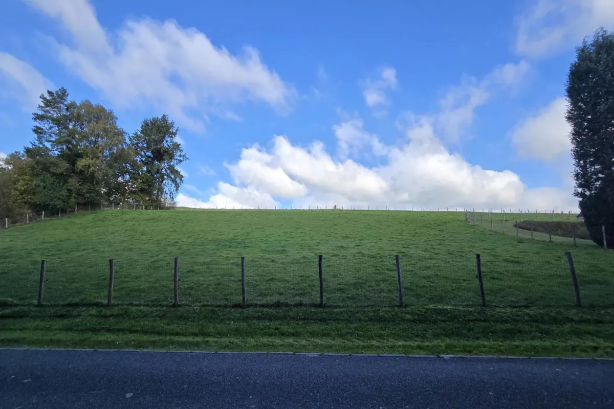 Grond te  koop in Tenneville 6970 110000.00€  slaapkamers m² - Zoekertje 639354