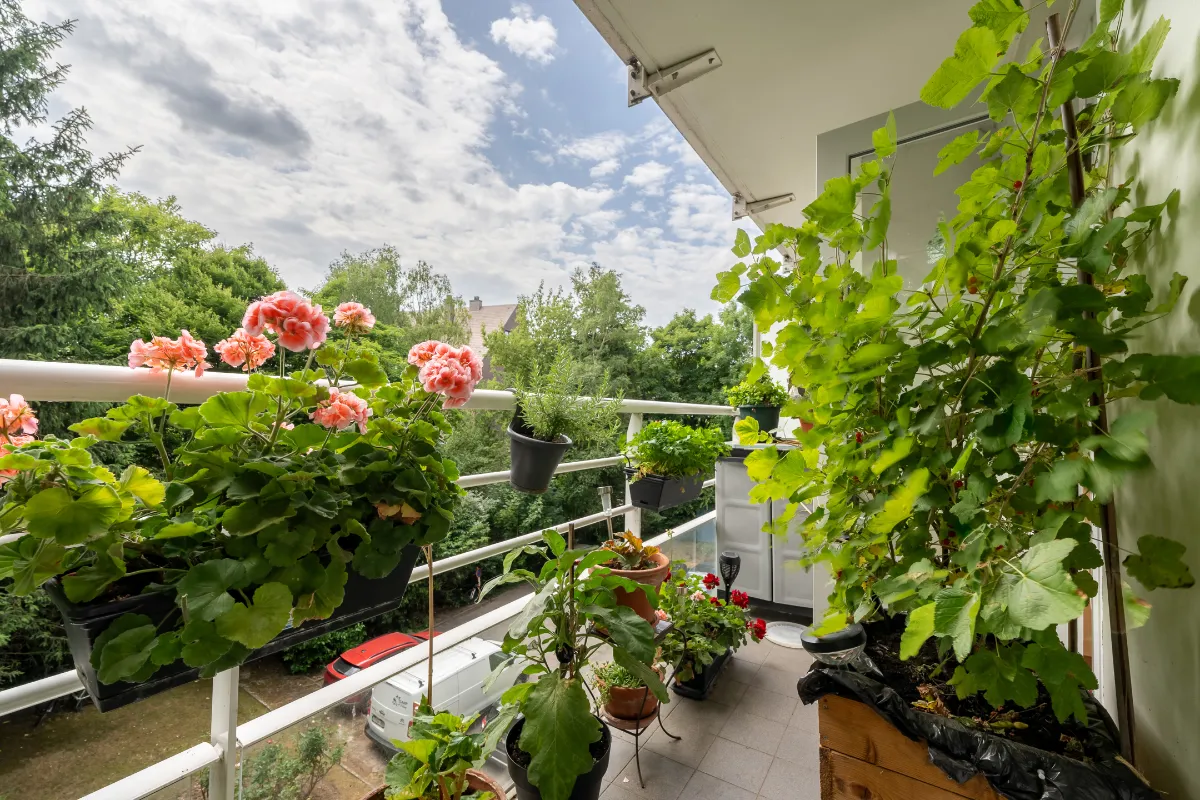 Appartement te  koop in Ukkel 1180 265000.00€ 2 slaapkamers 67.00m² - Zoekertje 640167