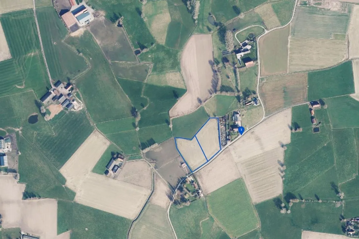 Grond te  koop in Aarsele 8700 159250.00€  slaapkamers m² - Zoekertje 641902