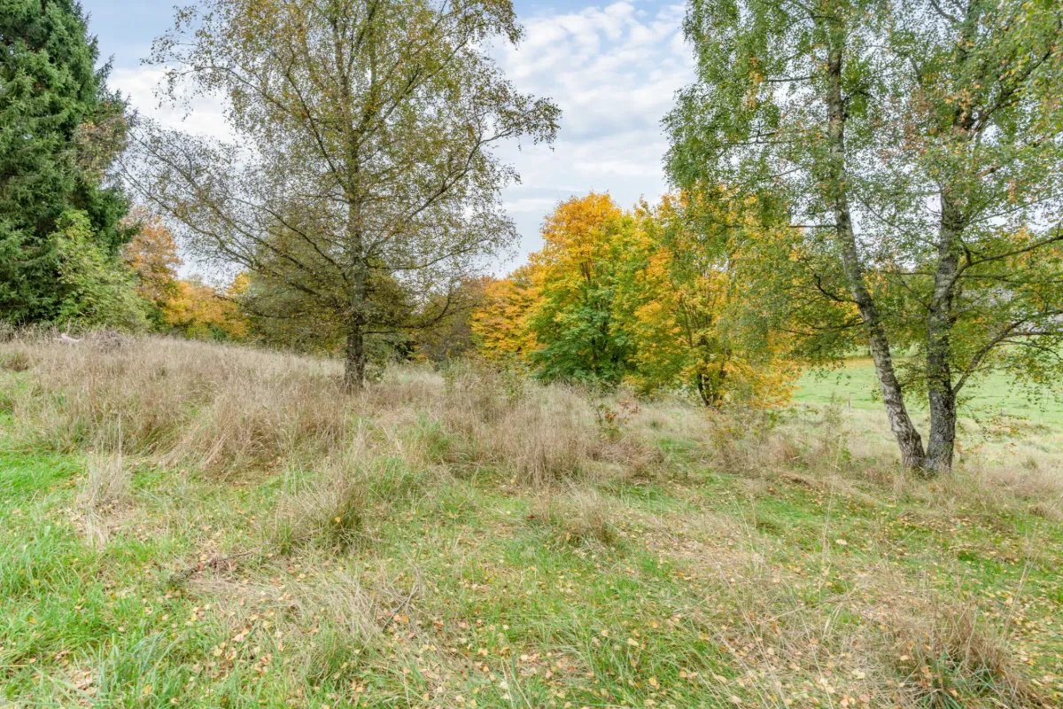 Grond te  koop in Maissin 6852 85000.00€  slaapkamers m² - Zoekertje 642568