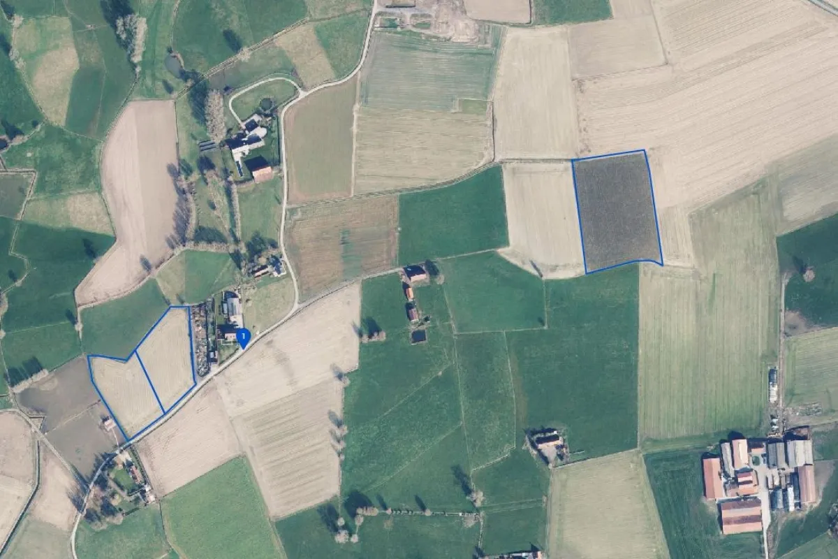 Grond te  koop in Aarsele 8700 322625.00€  slaapkamers m² - Zoekertje 641904