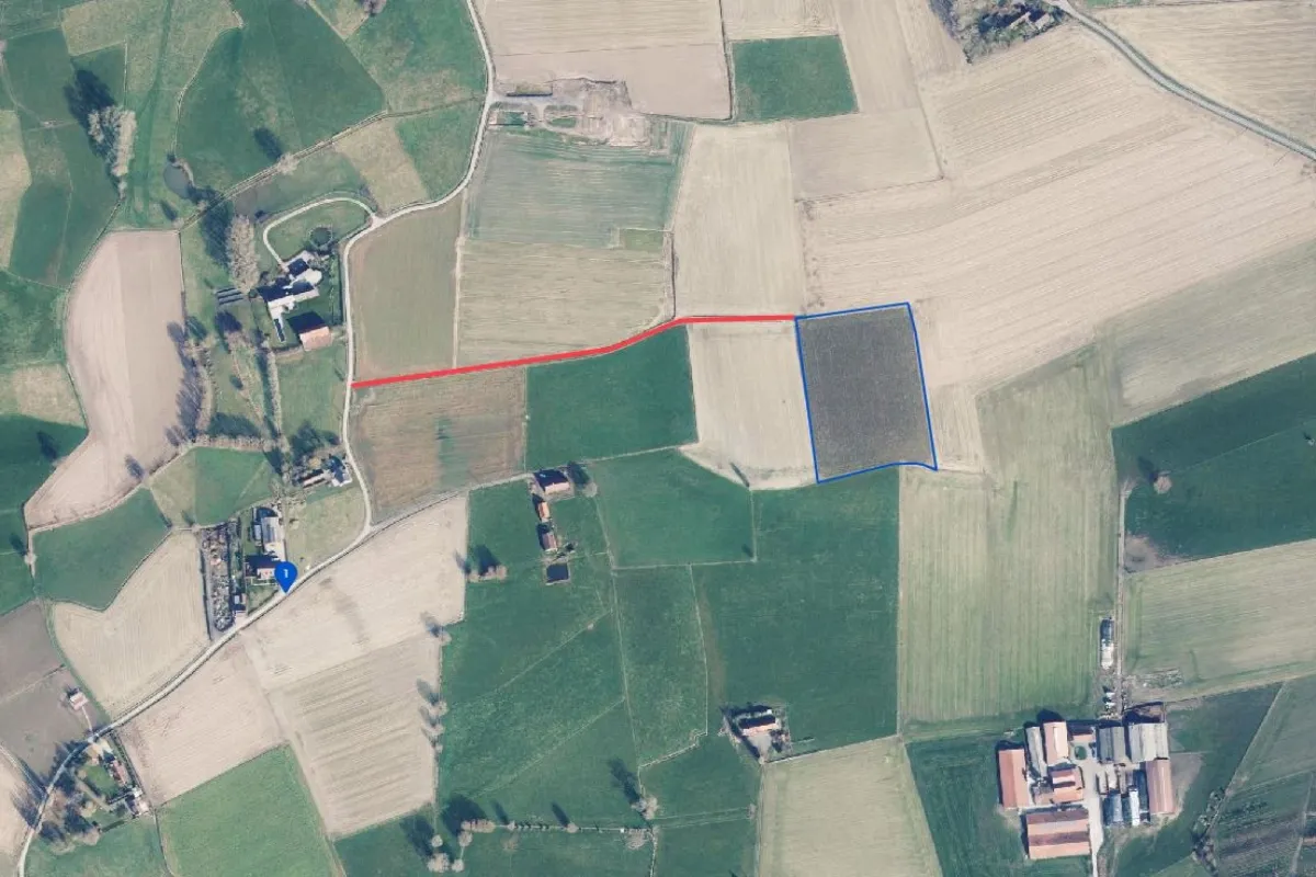 Grond te  koop in Aarsele 8700 163375.00€  slaapkamers m² - Zoekertje 641903