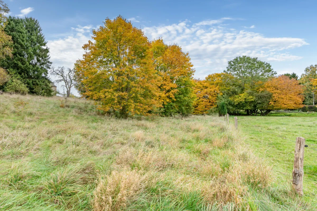 Grond te  koop in Maissin 6852 85000.00€  slaapkamers m² - Zoekertje 642567
