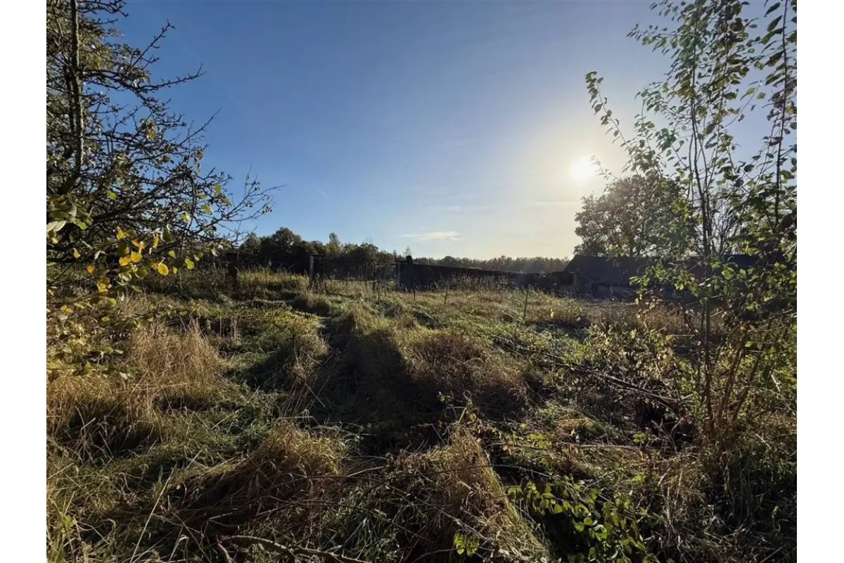 Terrain à vendre à Sirault 7332 80000.00€  chambres m² - annonce 643189