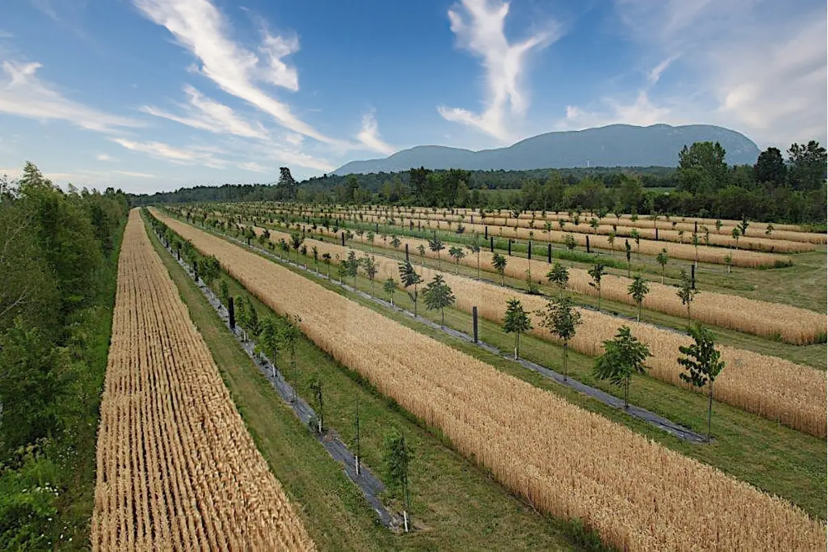 Terrain à vendre à Philippeville 5600 409500.00€  chambres m² - annonce 643507