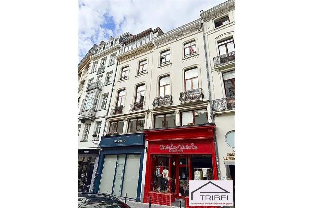 Appartement à  à Bruxelles 1000 349000.00€ 1 chambres 67.00m² - annonce 646536