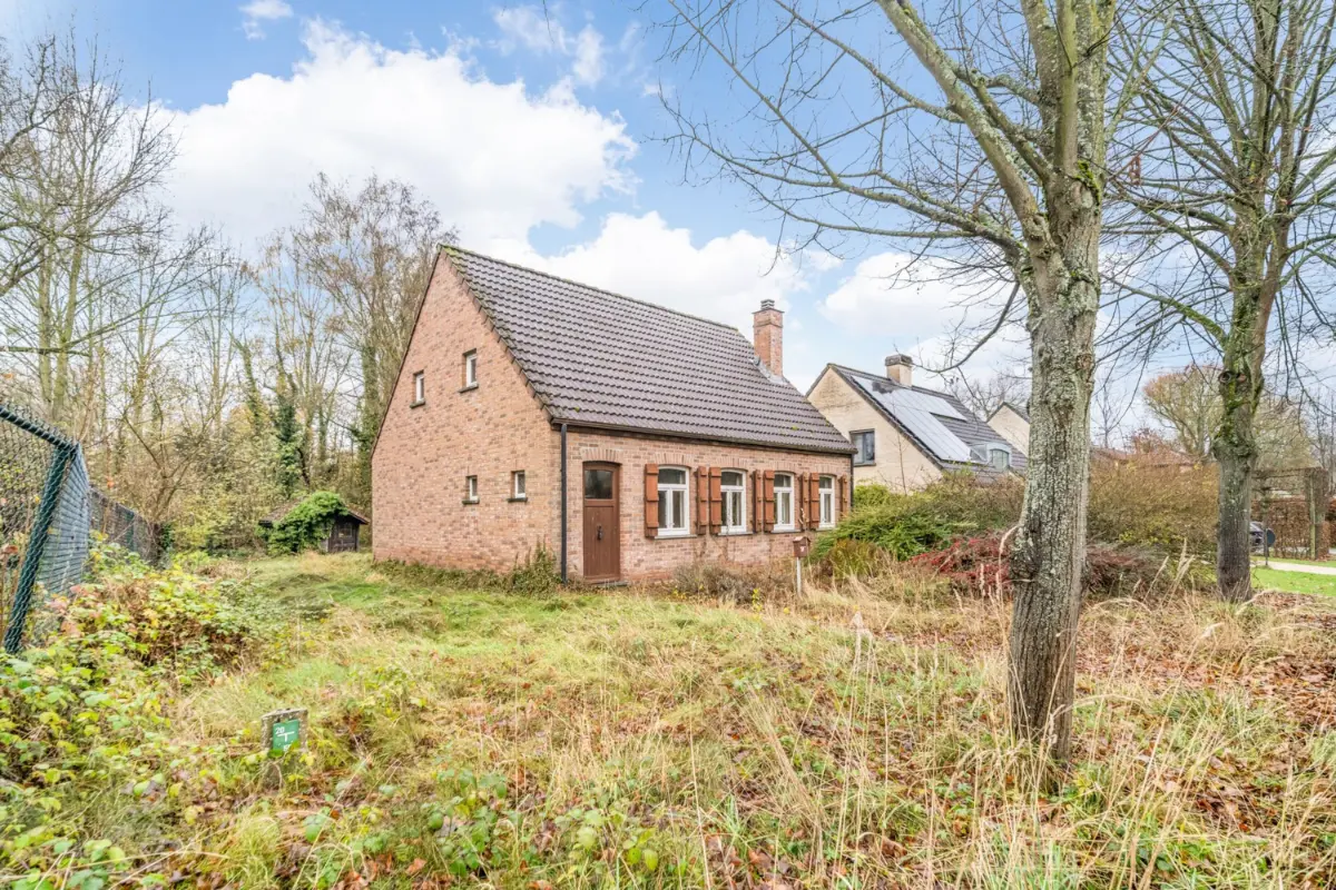 Maison à vendre à Bierbeek 3360 419000.00€ 4 chambres 117.00m² - annonce 647089