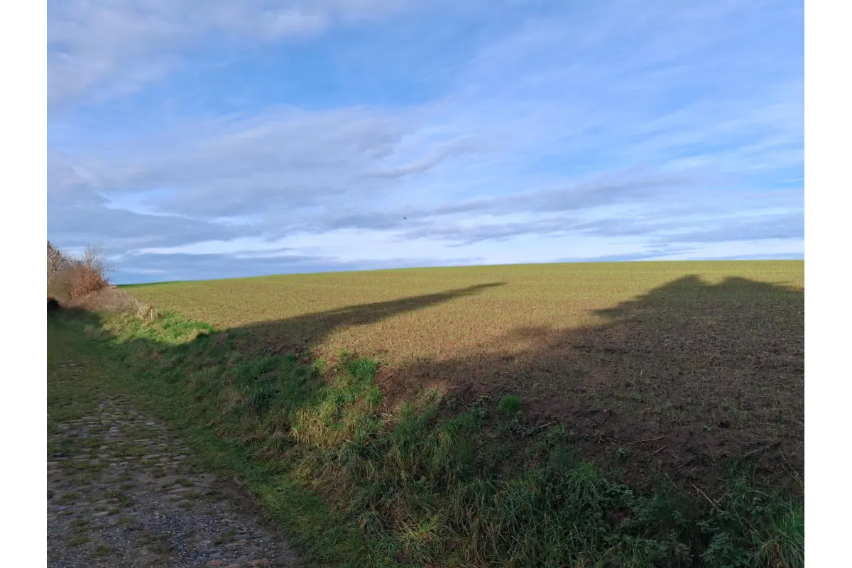 Grond te  koop in Piétrain 1370 134000.00€  slaapkamers m² - Zoekertje 647354