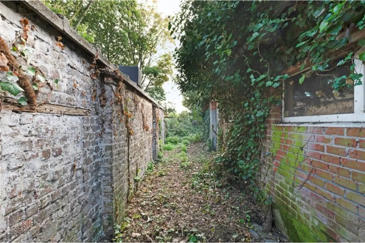 Commerce à vendre à Audenarde 9700 198000.00€ 2 chambres 188.00m² - annonce 648295