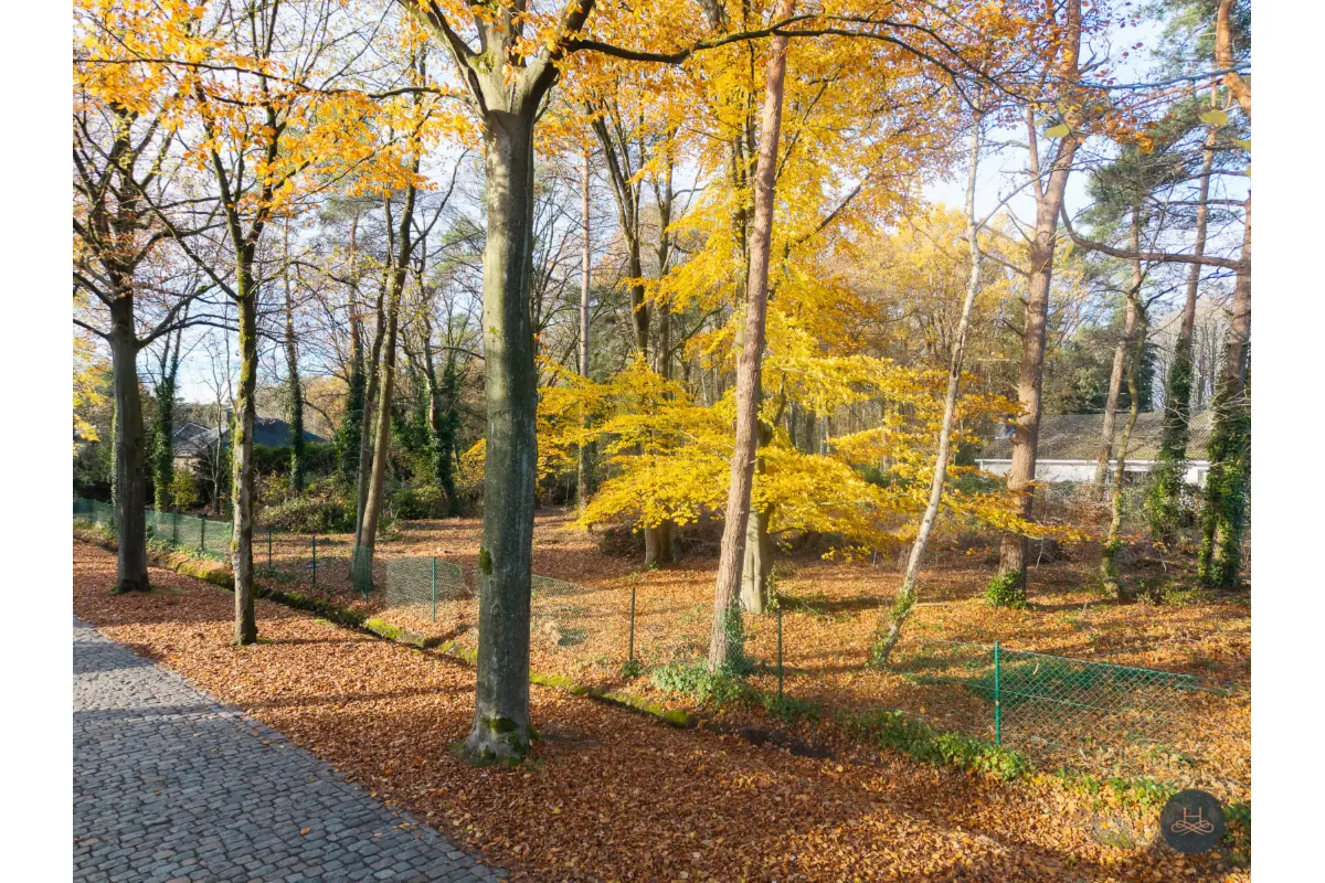 Grond te  koop in Brasschaat 2930 409000.00€  slaapkamers m² - Zoekertje 651852